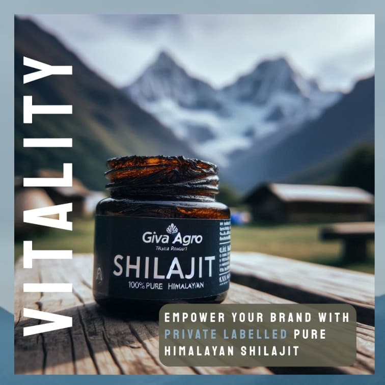 Giva Agro Shilajit dropper bottle