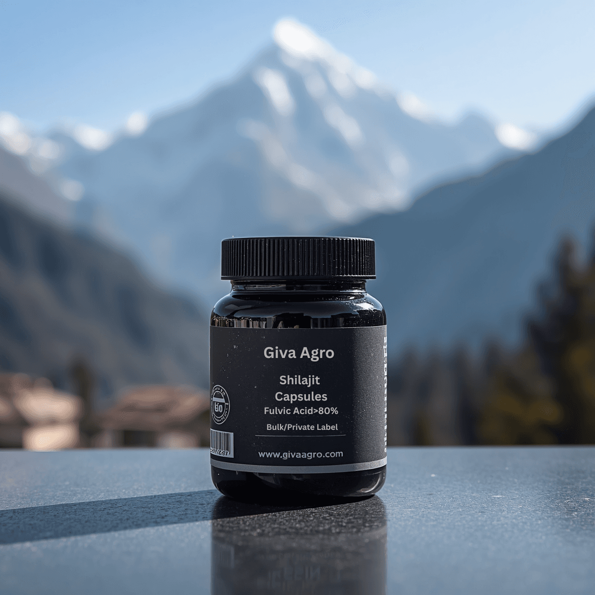 Shilajit Capsules