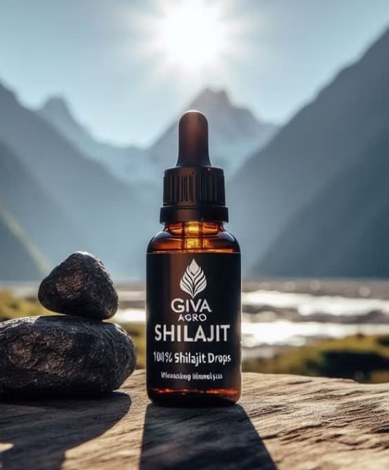 Shilajit himalayen