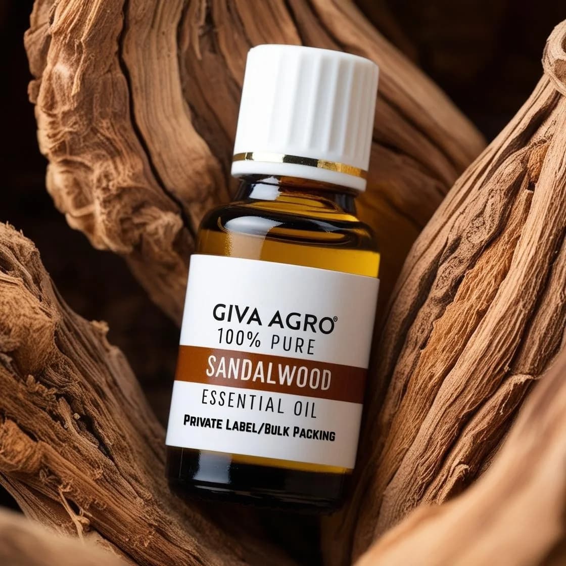 Unlocking the Luxury of Pure Indian Sandalwood Oil – The Gold Standard in Aromatherapy & Skincare.