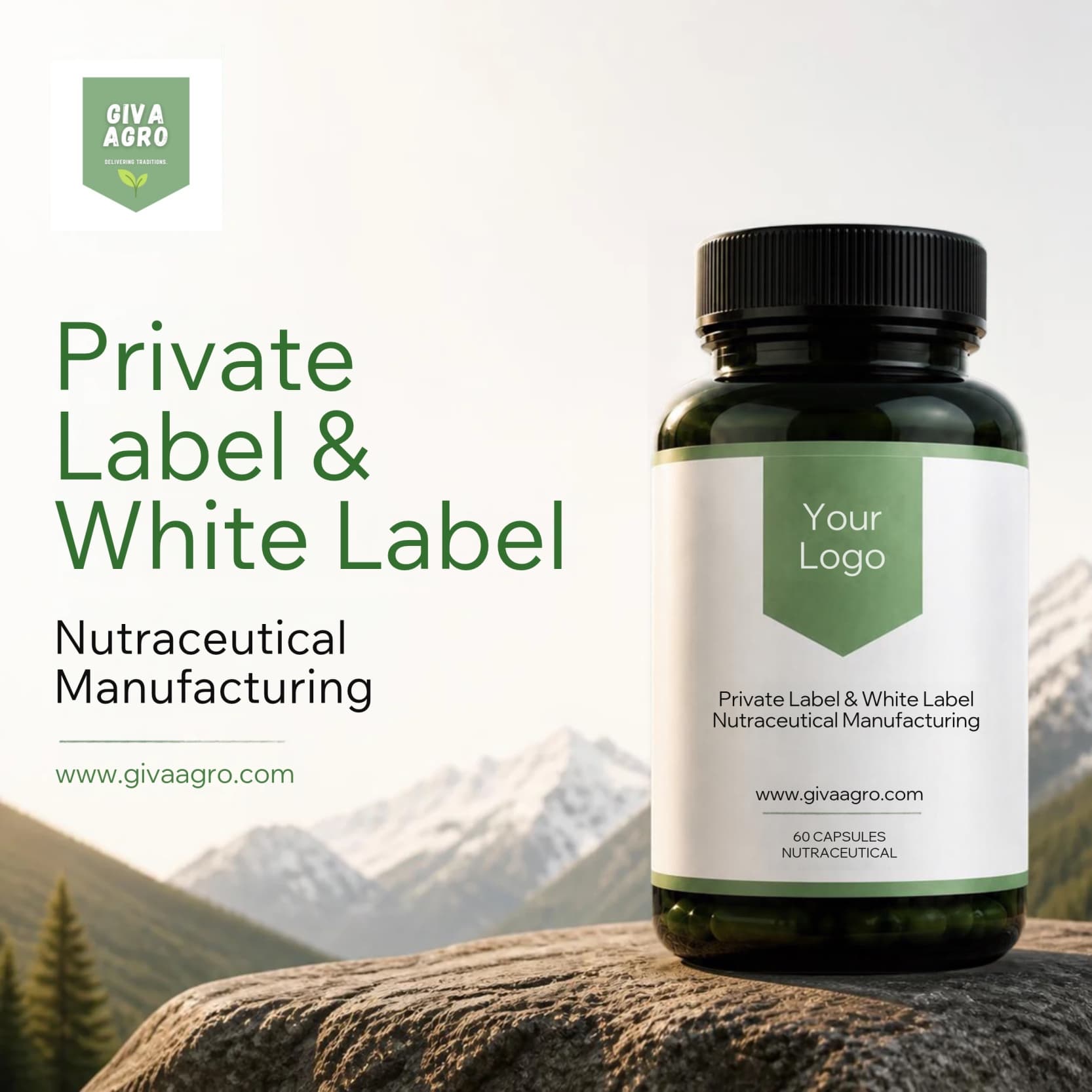 Private label and white label nutraceutical manufacturing: from brief to first shipment